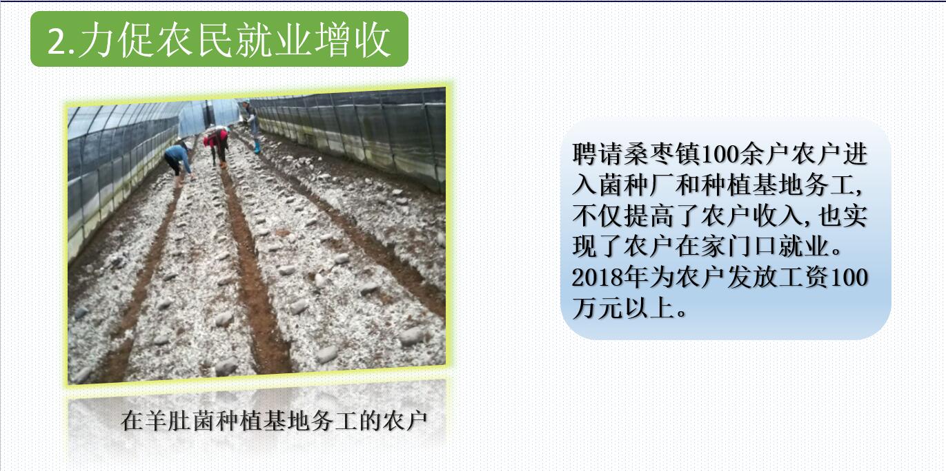 &#20048;&#40060;&#32593;&#39029;&#29256;&#45;&#20048;&#40060;&#40;&#20013;&#22269;&#41;&#23448;&#26041;