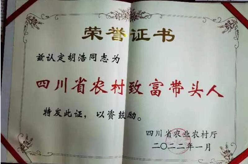 &#20048;&#40060;&#32593;&#39029;&#29256;&#45;&#20048;&#40060;&#40;&#20013;&#22269;&#41;&#23448;&#26041;